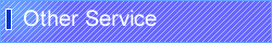 Other Service